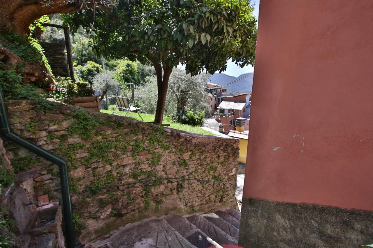 Mamaamelia Apartment Levanto Bagian luar foto